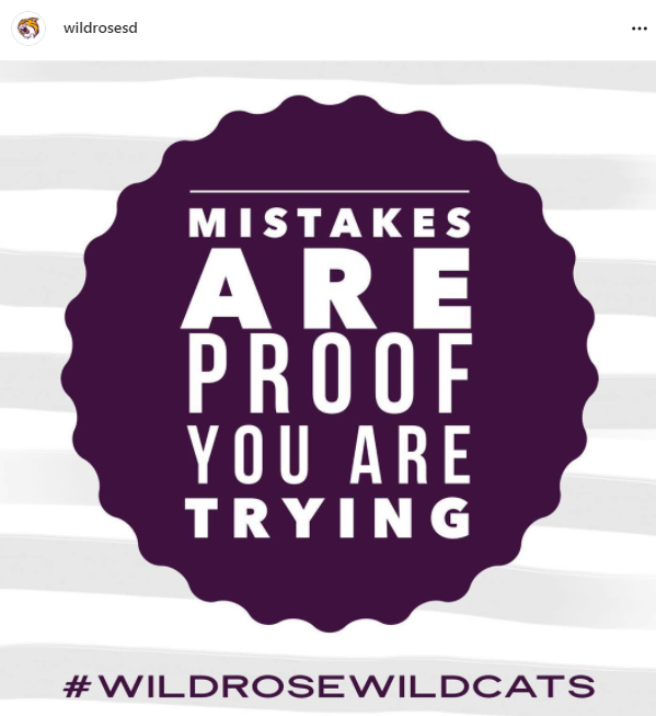 Mistakes Are Proof You Are Trying