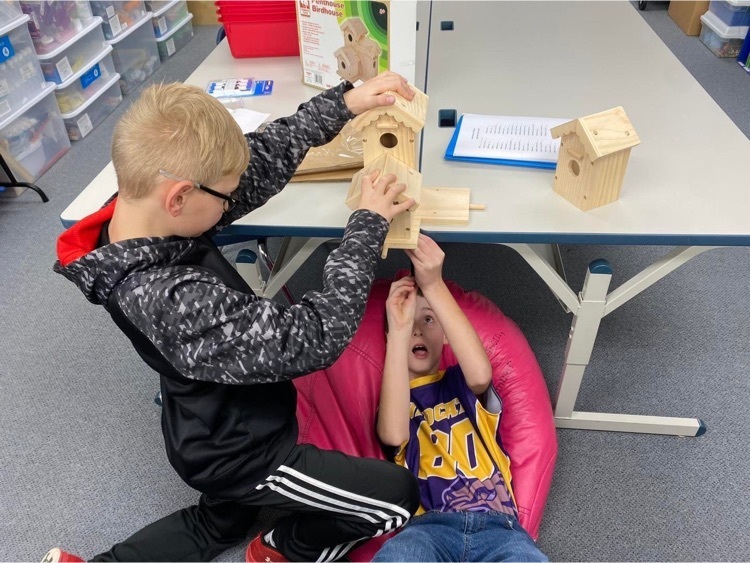 Building a bird house 