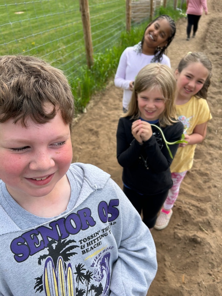 school garden